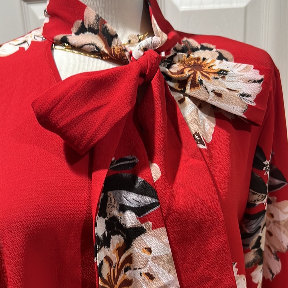 Red Blouse - Picture 2 of 6